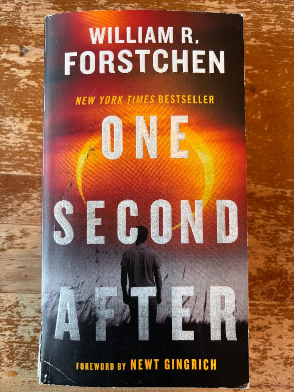 One Second After, book by William R. Forstchen